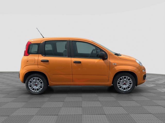 FIAT Panda usata 5