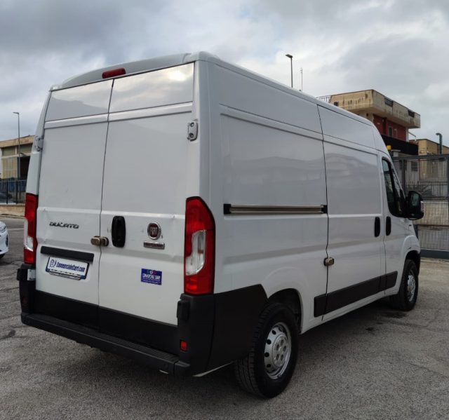 FIAT usata 2