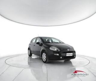 FIAT Punto usata 1