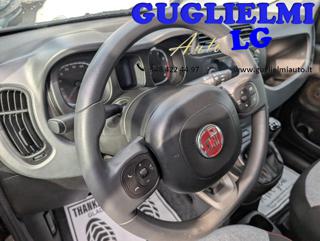 FIAT Panda usata, con Servosterzo