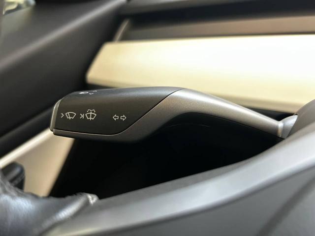 TESLA Model 3 usata, con Immobilizzatore elettronico