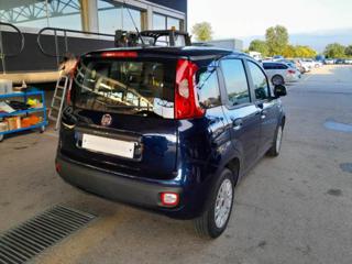 FIAT Panda usata, con Airbag Passeggero