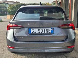 SKODA Octavia usata 82