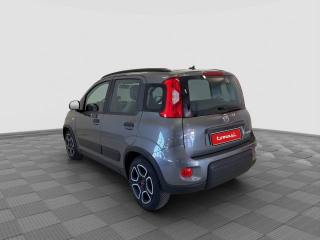 FIAT Panda usata 2