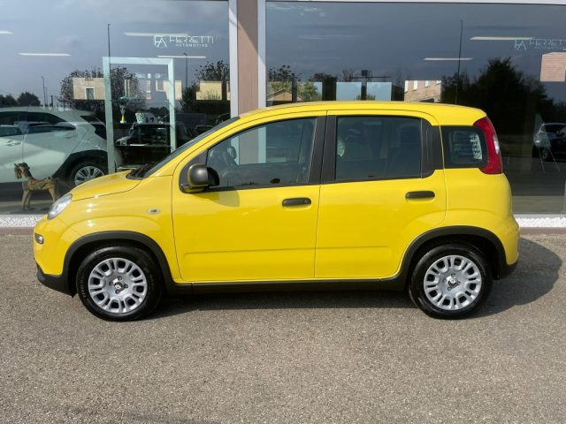 FIAT Panda usata, con Airbag