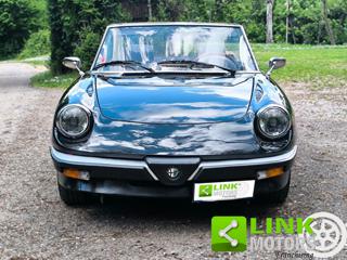 ALFA ROMEO Spider usata 1