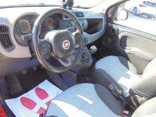 FIAT Panda usata 18