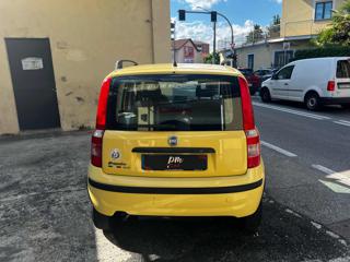 FIAT Panda usata, con Immobilizzatore elettronico