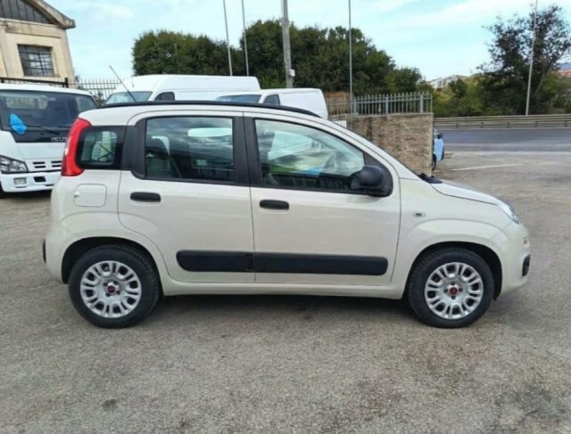 FIAT Panda usata 3
