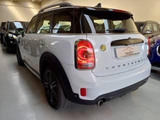 MINI Countryman usata, con Volante multifunzione