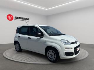 FIAT Panda usata, con Airbag