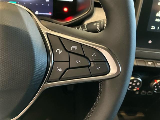 RENAULT Clio usata 17