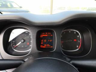 FIAT Panda usata 13