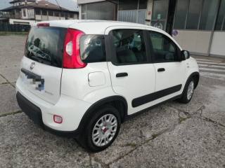 FIAT Panda usata, con Airbag Passeggero