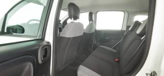 FIAT Panda usata 42