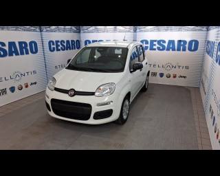 FIAT Pandina usata, con Airbag laterali