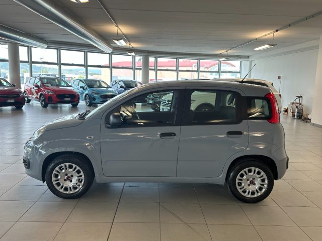 FIAT Panda usata, con Alzacristalli elettrici