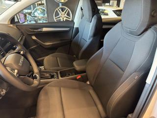 SKODA Karoq usata, con Controllo trazione