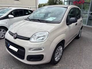 FIAT Panda usata, con Airbag Passeggero