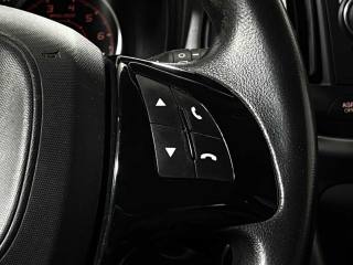 FIAT Doblo usata 24