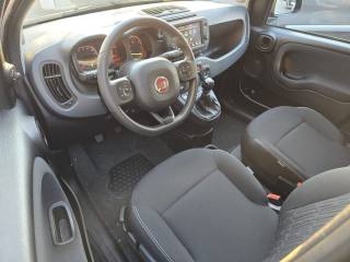 FIAT Panda Cross usata, con Servosterzo