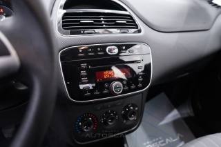 FIAT Punto usata 14