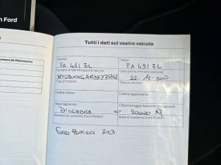 FORD Fiesta usata 88