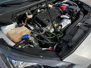 FORD Focus usata, con Cronologia tagliandi