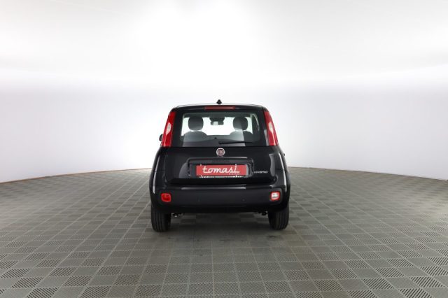 FIAT Panda usata 4