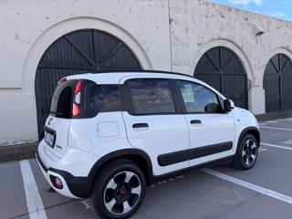 FIAT Panda Cross usata 43