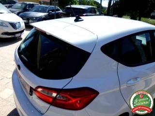 FORD Fiesta usata, con Ski bag