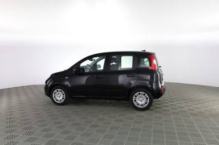 FIAT Panda usata 5