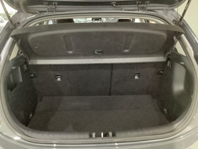KIA Rio usata, con Fendinebbia