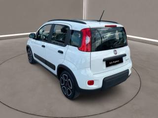 FIAT Panda usata, con Antifurto