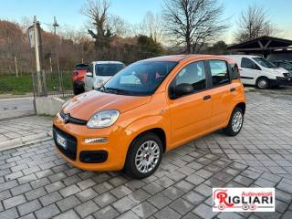 FIAT Panda usata 4