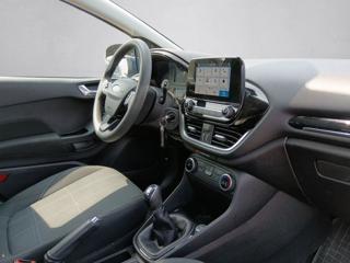 FORD Fiesta usata, con Cronologia tagliandi