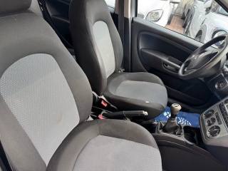 FIAT Grande Punto usata 12