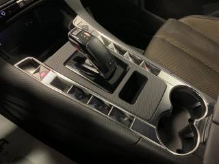 DS AUTOMOBILES DS 7 usata, con Controllo vocale