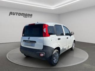 FIAT Panda usata 3