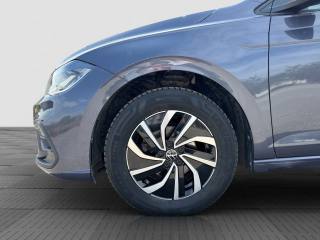 VOLKSWAGEN Polo usata 15