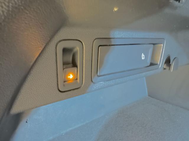 VOLKSWAGEN Tiguan usata, con Interni in pelle