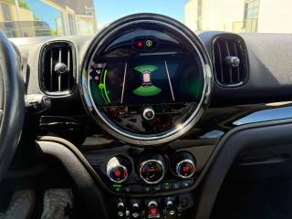 MINI Countryman usata, con Cronologia tagliandi