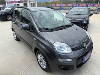 FIAT Panda usata, con Fendinebbia