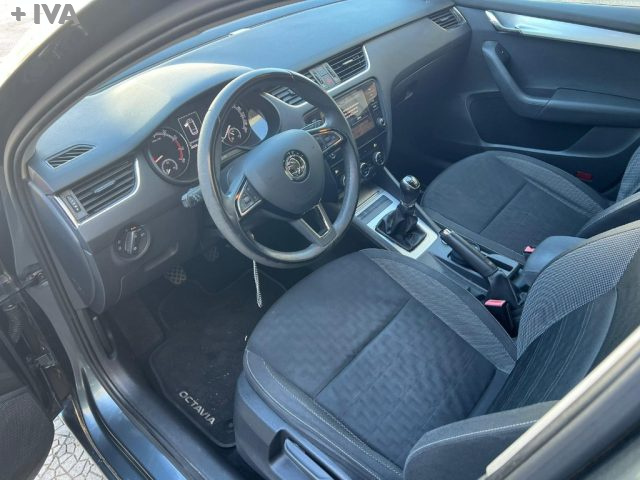 SKODA Octavia usata 12