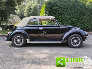 VOLKSWAGEN Maggiolone usata 14