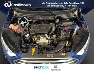 FORD EcoSport usata, con Touch screen