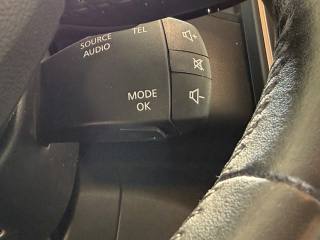 RENAULT Scenic usata, con Specchietti laterali elettrici