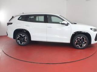 VOLKSWAGEN Tayron usata, con ESP