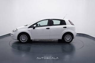 FIAT Punto usata, con Airbag Passeggero