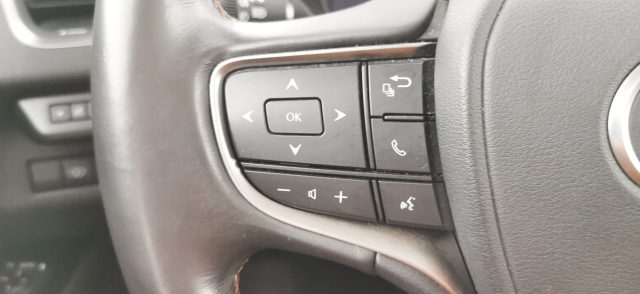 LEXUS UX 250h usata, con Sedili ventilati